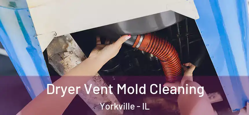  Dryer Vent Mold Cleaning Yorkville - IL