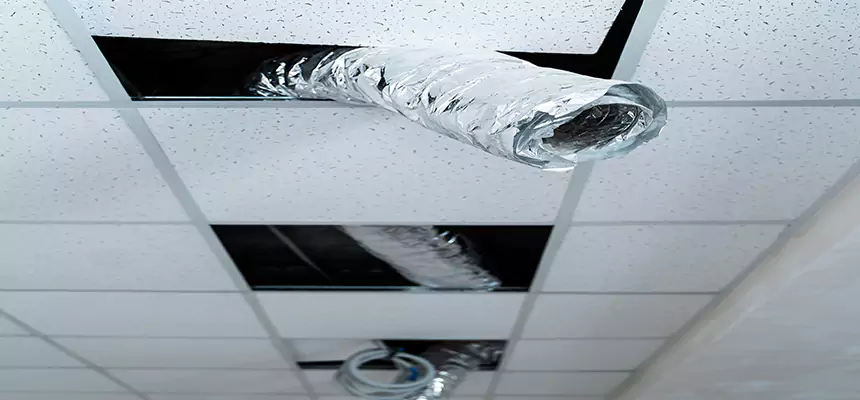 Affordable HVAC Sanitizing After Pest Removal in Yorkville