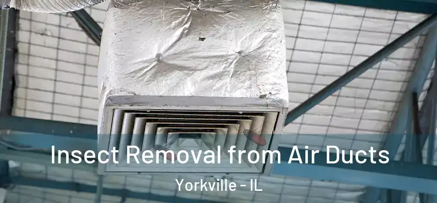  Insect Removal from Air Ducts Yorkville - IL
