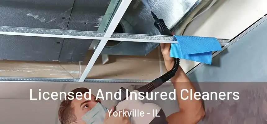  Licensed And Insured Cleaners Yorkville - IL