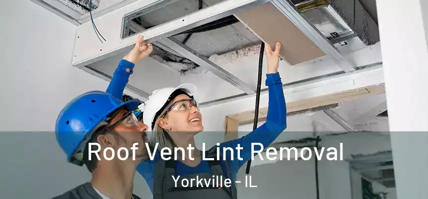  Roof Vent Lint Removal Yorkville - IL