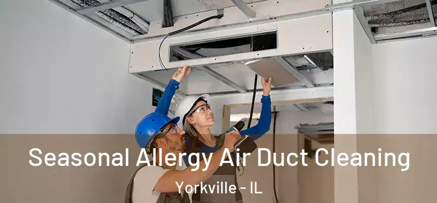  Seasonal Allergy Air Duct Cleaning Yorkville - IL