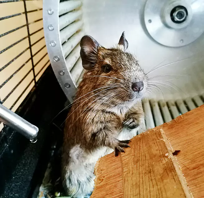 Why Homeowners & Businesses Trust Us Yorkville, IL?