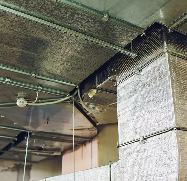 Why Homeowners & Businesses Trust Us in Yorkville, IL?